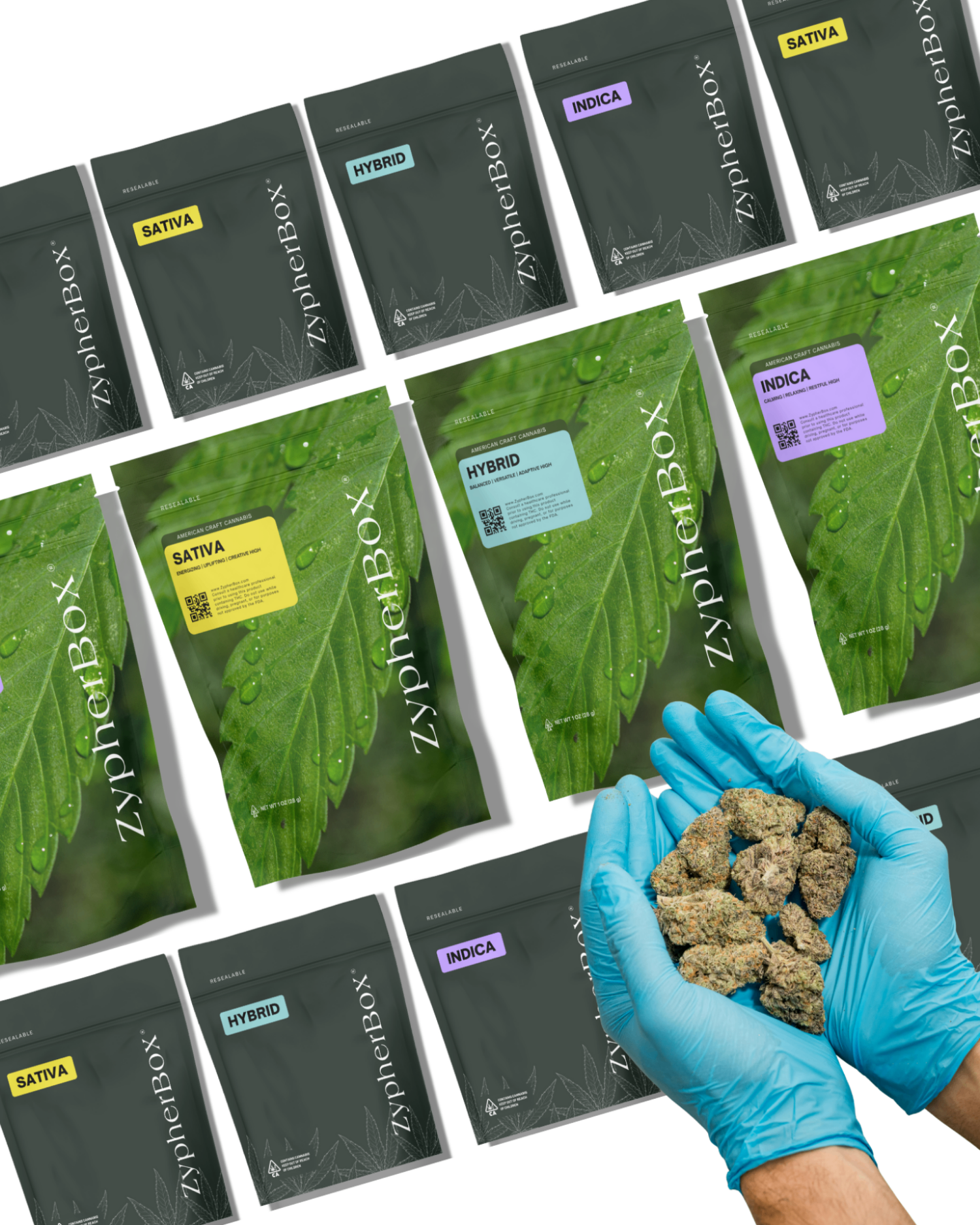 Premium THCa Flower Subscription Box in New Jersey | ZypherBox