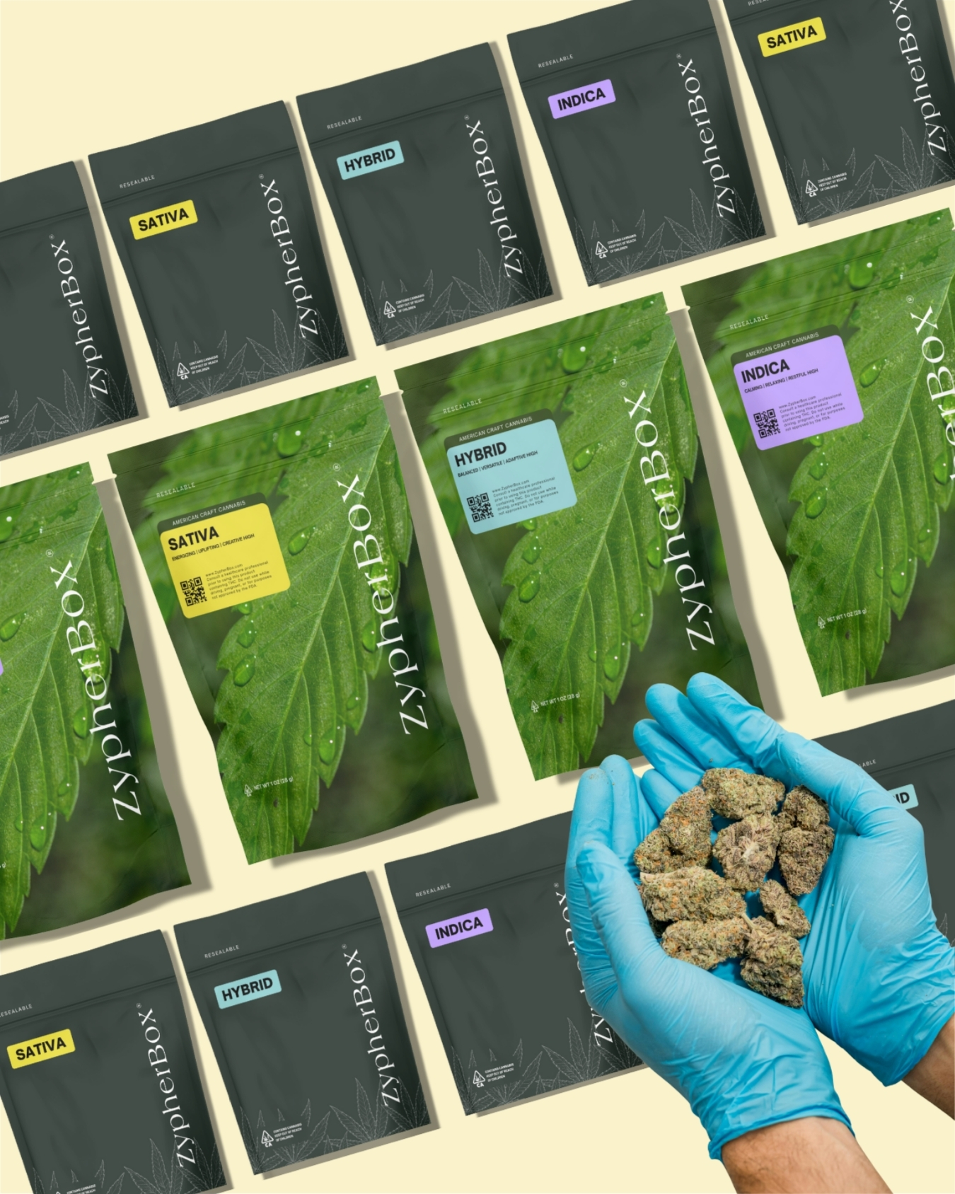 Cannabis Delivery | THCa Flower Delivered to Your Door | ZypherBox
